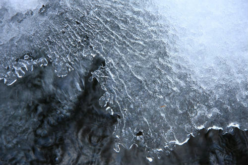 20110119_1.jpg
