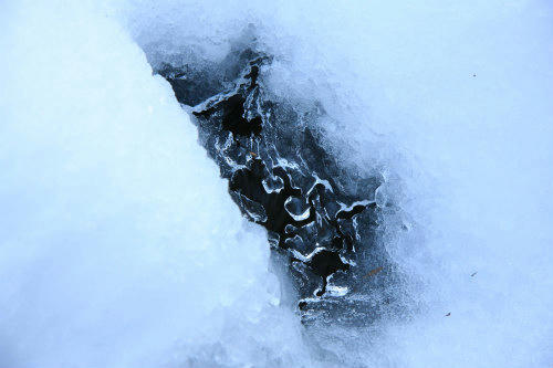 20110119_2.jpg