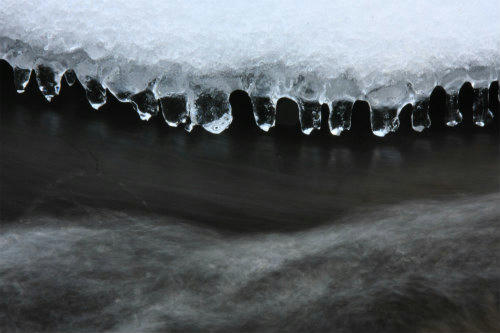 20110119_3.jpg