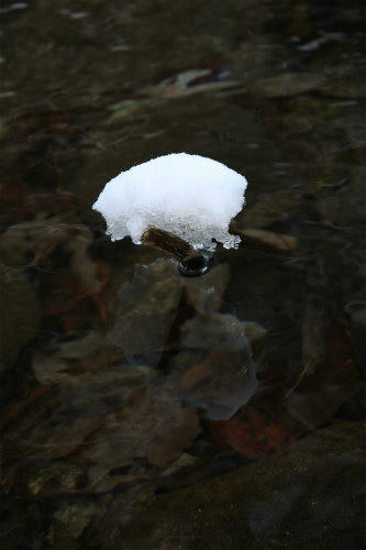 20110119_4.jpg