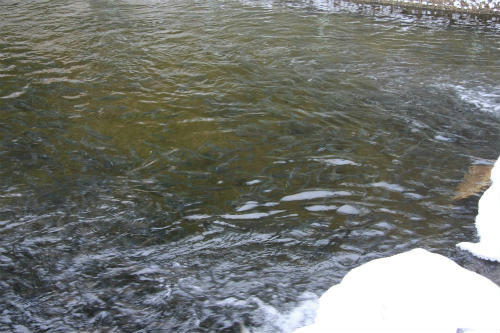 20110120_1.jpg