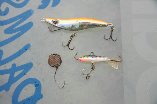 20110131_3.jpg