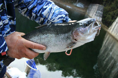 20110213_1.jpg