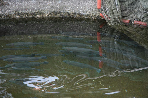 20110210.jpg