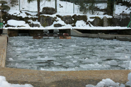 20110202_1.jpg