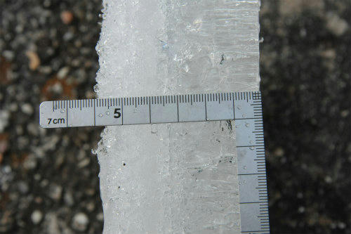20110202_2.jpg