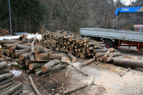 20110208_1.jpg