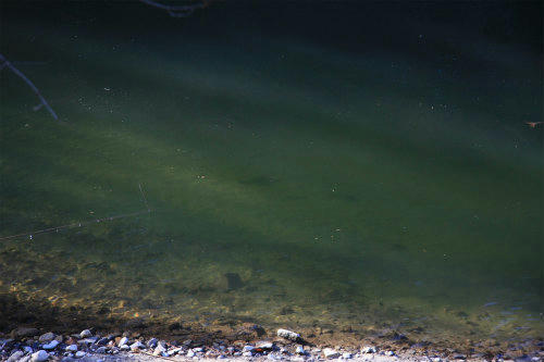20110218_2.jpg