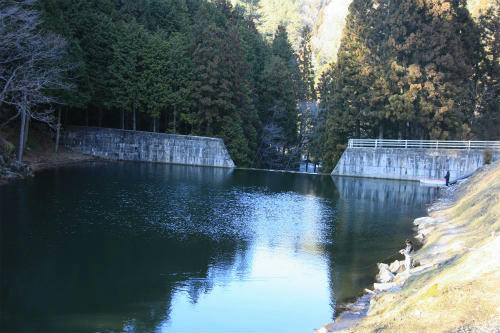 20110218_1.jpg