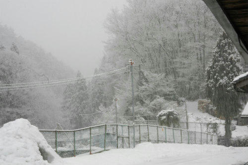 20110214.jpg