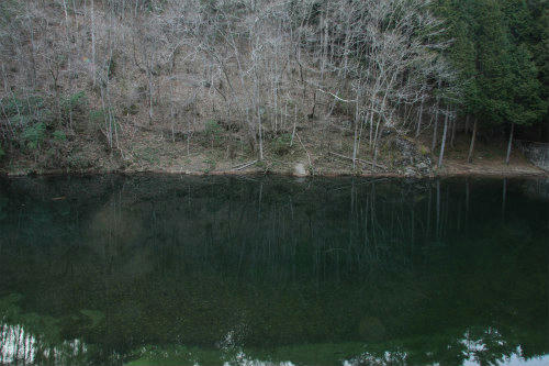 20110221_2.jpg