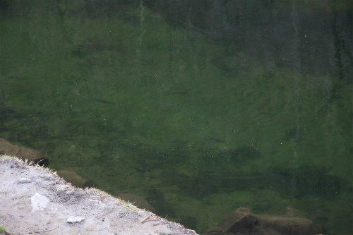 20110307.jpg