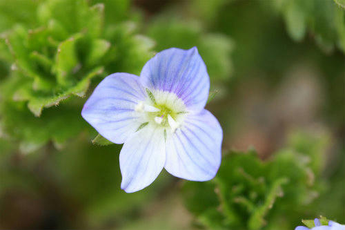 20110314.jpg