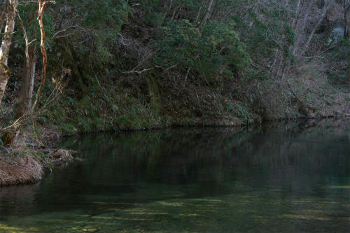 20110313.jpg