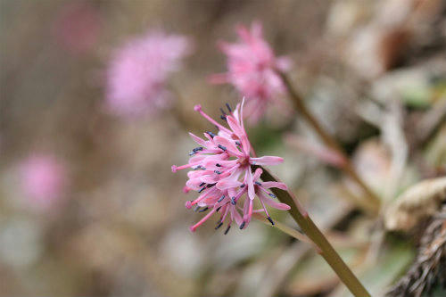 20110331.jpg