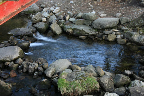 20110420.jpg