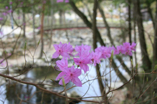 20110422_7.jpg