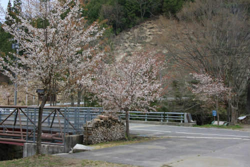 20110422_3.jpg
