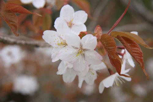 20110422_4.jpg