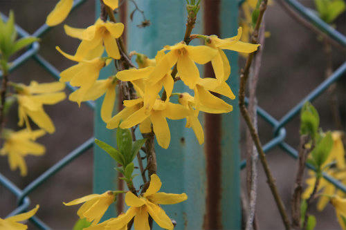 20110422_8.jpg