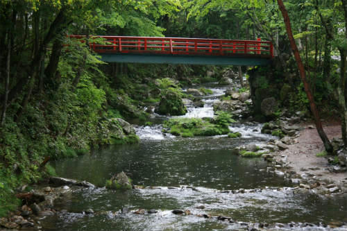 20110523.jpg