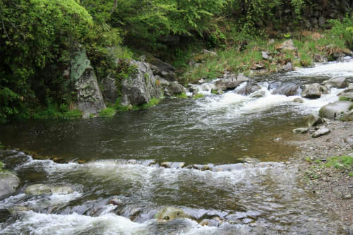 20110511_1.jpg