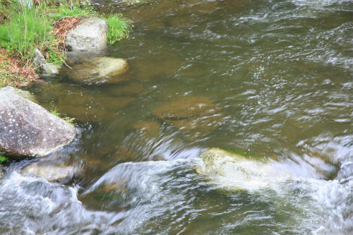 20110511_2.jpg