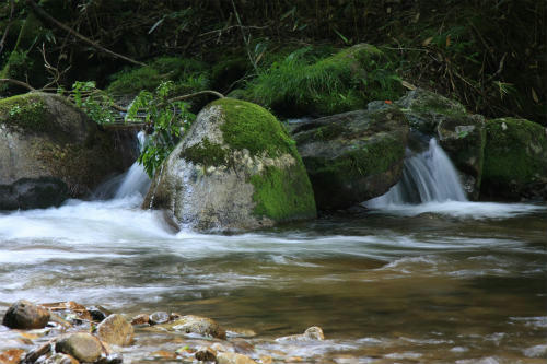 20111630_3.jpg