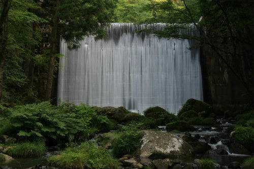 20111630_2.jpg