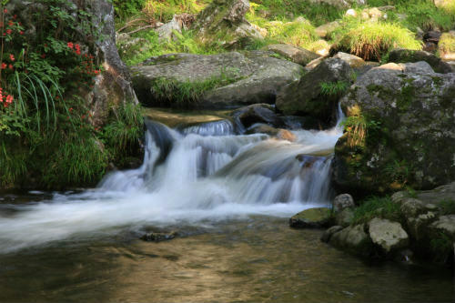 20111630_1.jpg