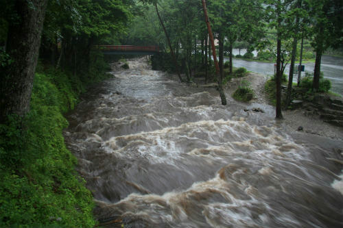 20110721_1.jpg