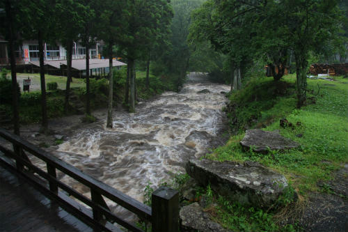 20110721_3.jpg