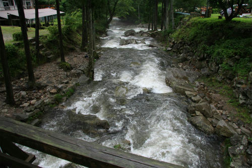 20110721_4.jpg