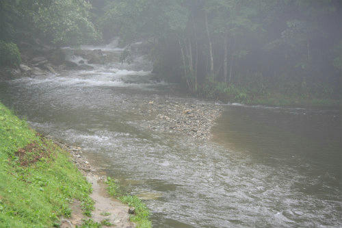20110721_5.jpg