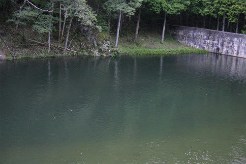20110906_4.jpg