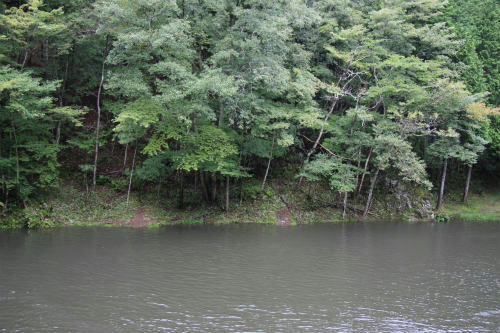 20110904_1.jpg