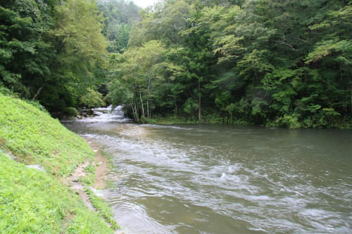 20110904_3.jpg