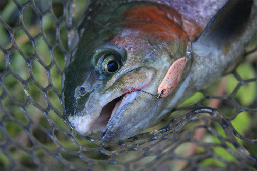 20110906_2.jpg