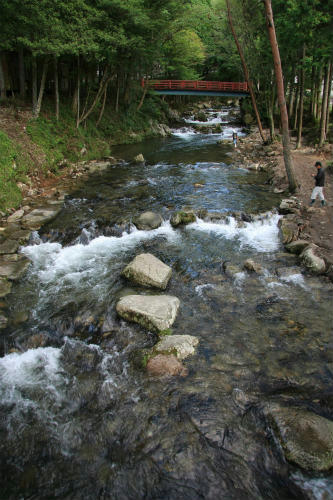 20110923_2.jpg