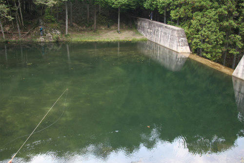 20111009_2.jpg