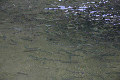 20111002_2.jpg