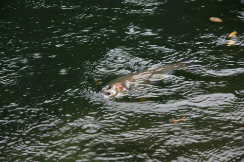 20111030_1.jpg