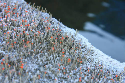 20111213.jpg