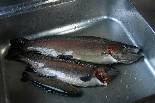 20111221_1.jpg
