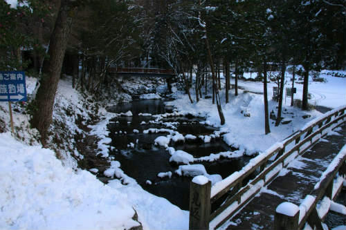 20111227_1.jpg