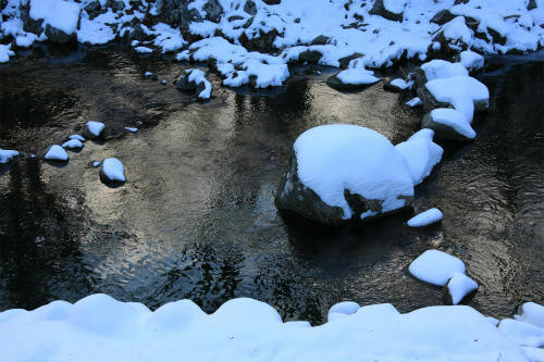 20111227_2.jpg