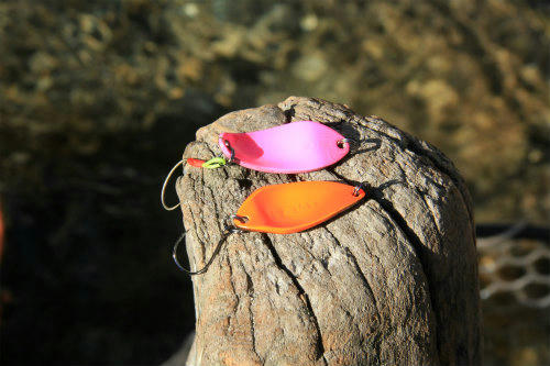 20111231_2.jpg