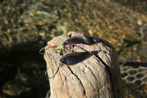 20111231_1.jpg
