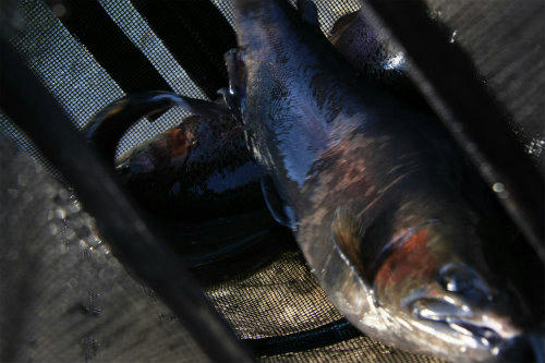 20120108_2.jpg