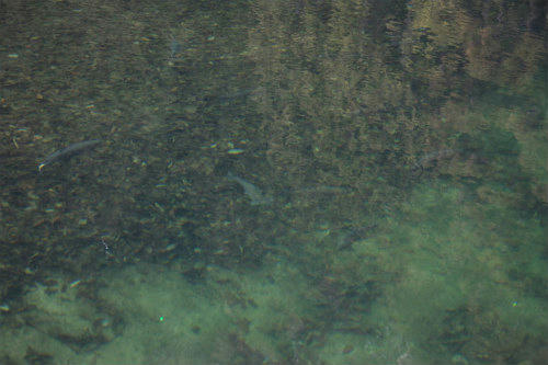 20120109_3.jpg